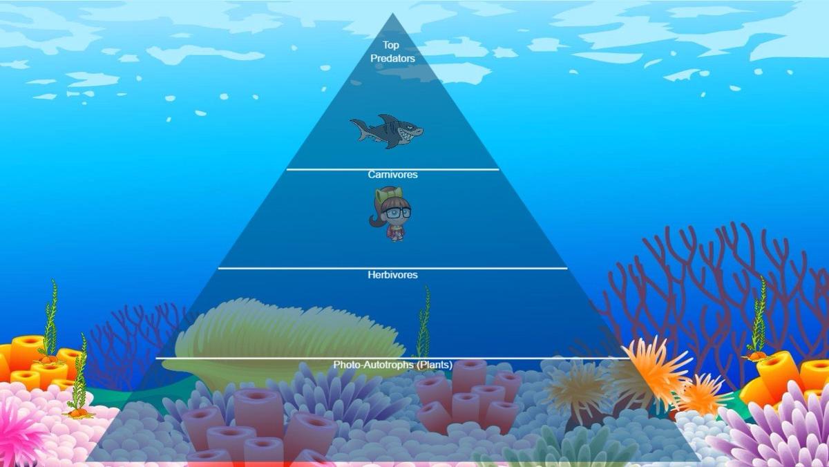 Ocean Ecological Pyramid