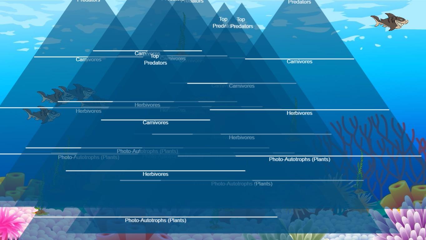 Ocean Ecological Pyramid