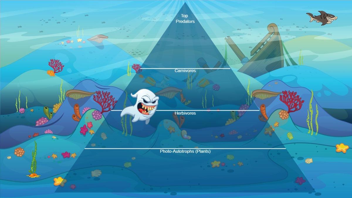 Ocean Ecological Pyramid