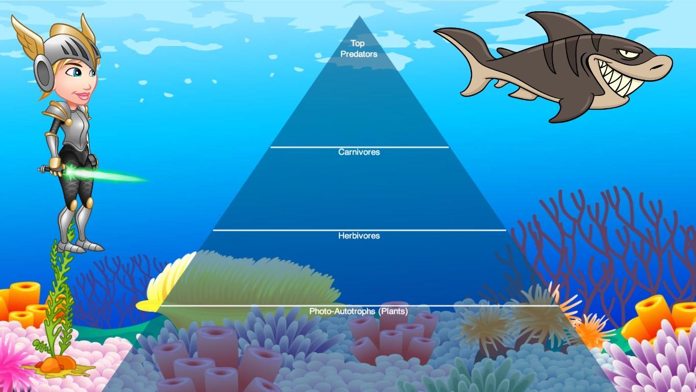 Ocean Ecological Pyramid