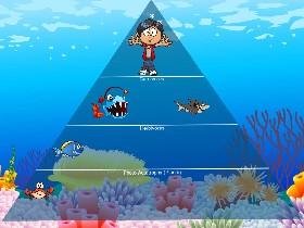 Ecological Pyramid 1