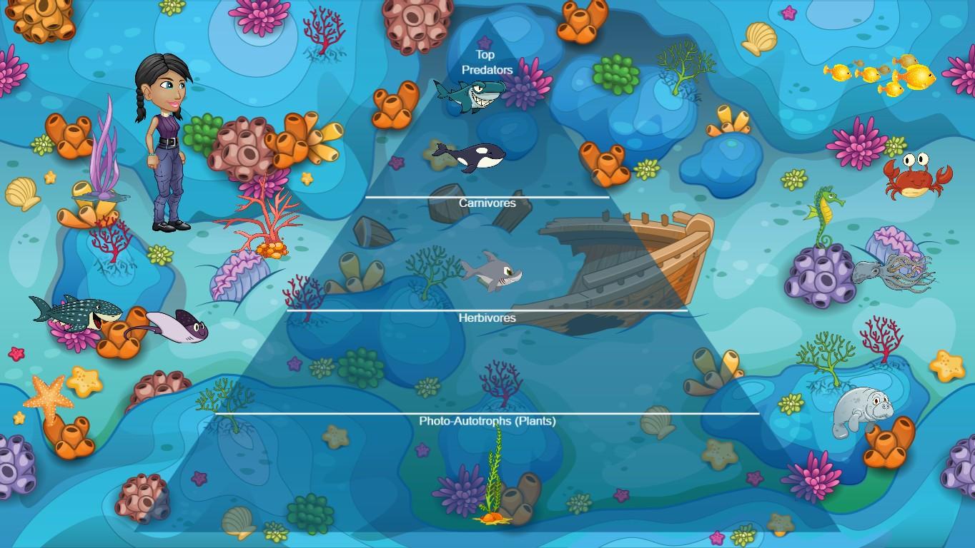 Ecological Pyramid Project