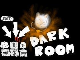 Dark Room!  1