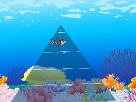 Ecological Pyramid 1