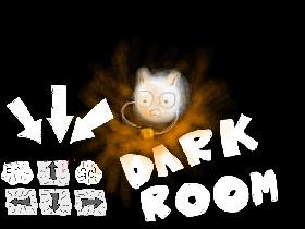 Dark Room!