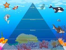 Ecological Pyramid 1