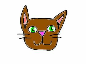 How to draw cats 1