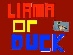 Llama or Duck? 1