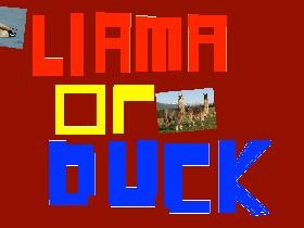 Llama or Duck? 1