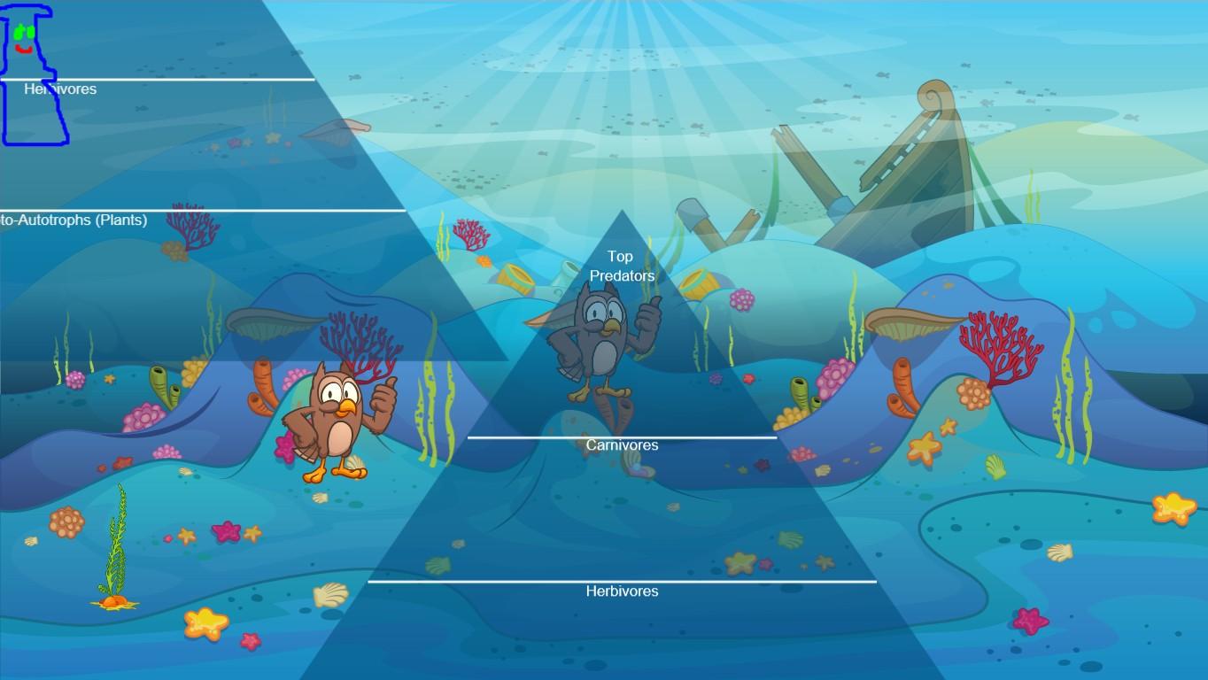 Ocean Ecological Pyramid