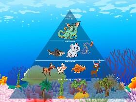 Ecological Pyramid 1