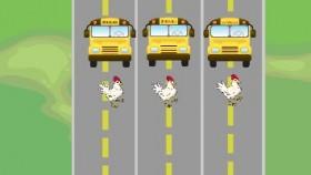 Chicken Crossing 1