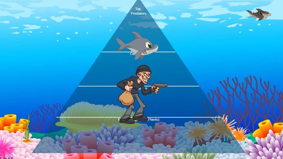 Ocean Ecological Pyramid