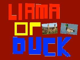 Llama or Duck? 1 1