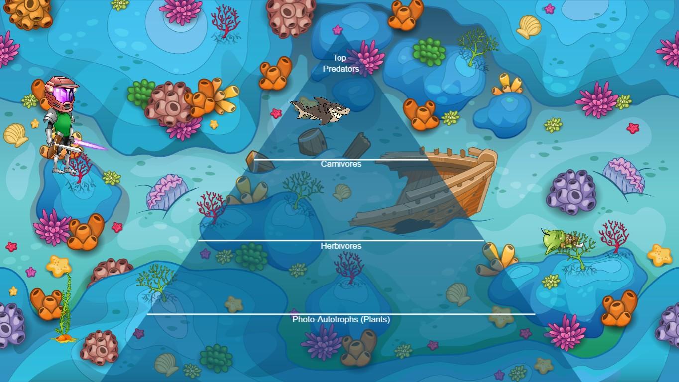 Ocean Ecological Pyramid