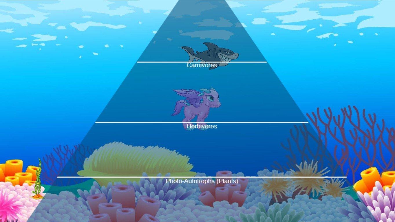 Ocean Ecological Pyramid