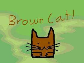 Introducing Brown Cat