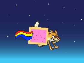 nyan cat