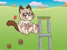 Grumpy Cat 13