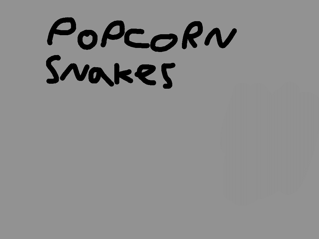 Popcorn snakes 1