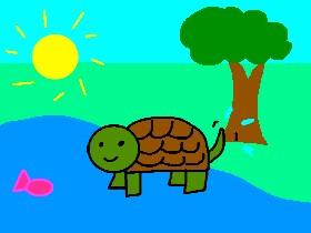 turtle