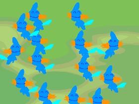 Stamp a mudkip squad