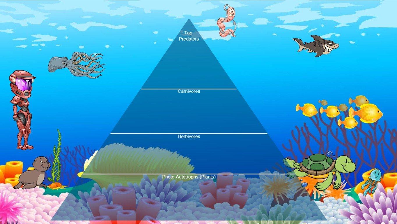 Ocean Ecological Pyramid