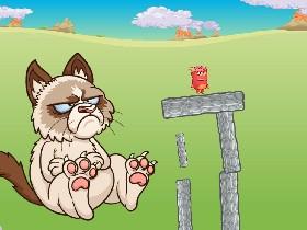 Grumpy Cat 1