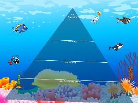 Ecological Pyramid 2