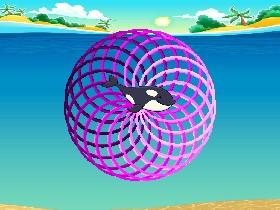 orca spirals