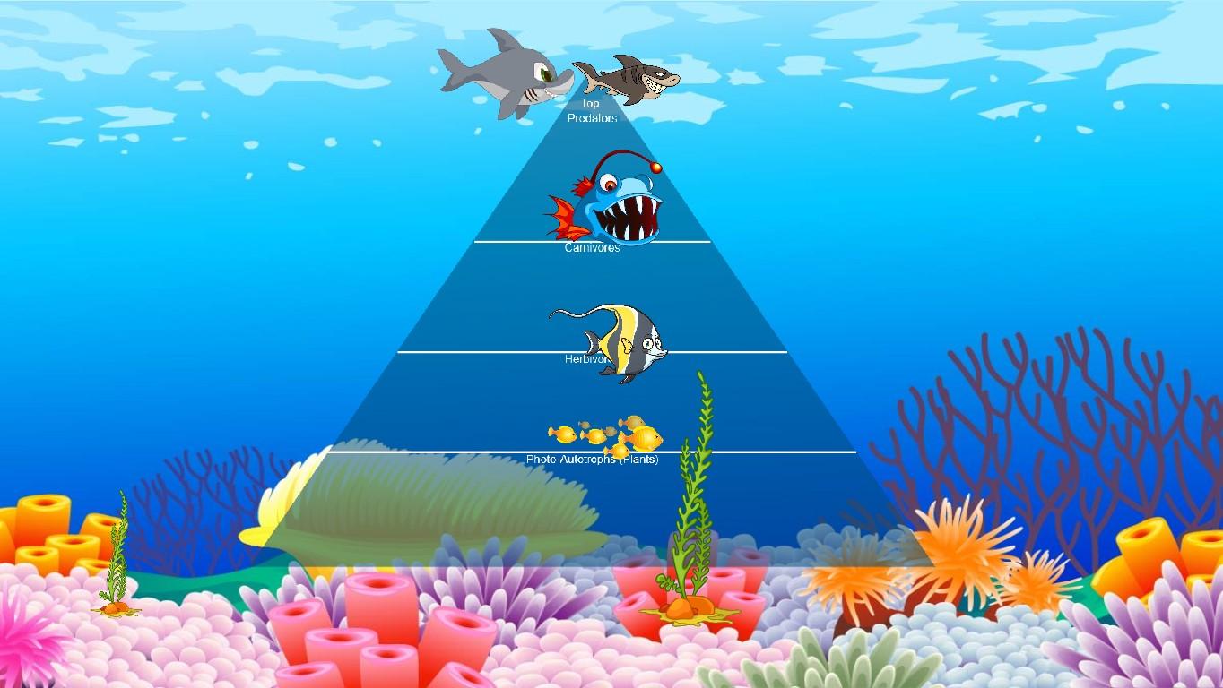 Ocean Ecological Pyramid - TEMPLATE