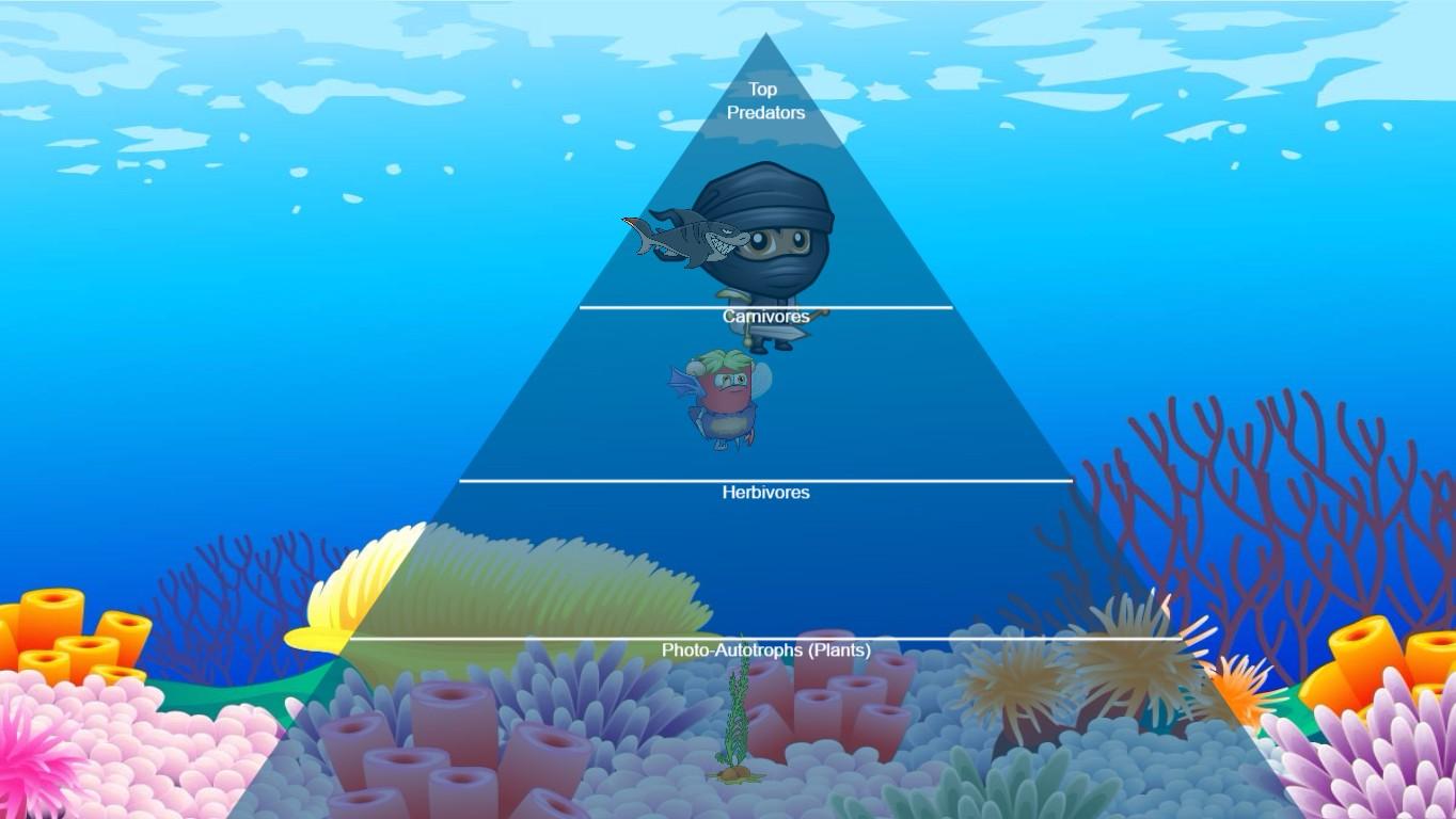 Ocean Ecological Pyramid - TEMPLATE