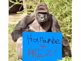 Harambe Campaign