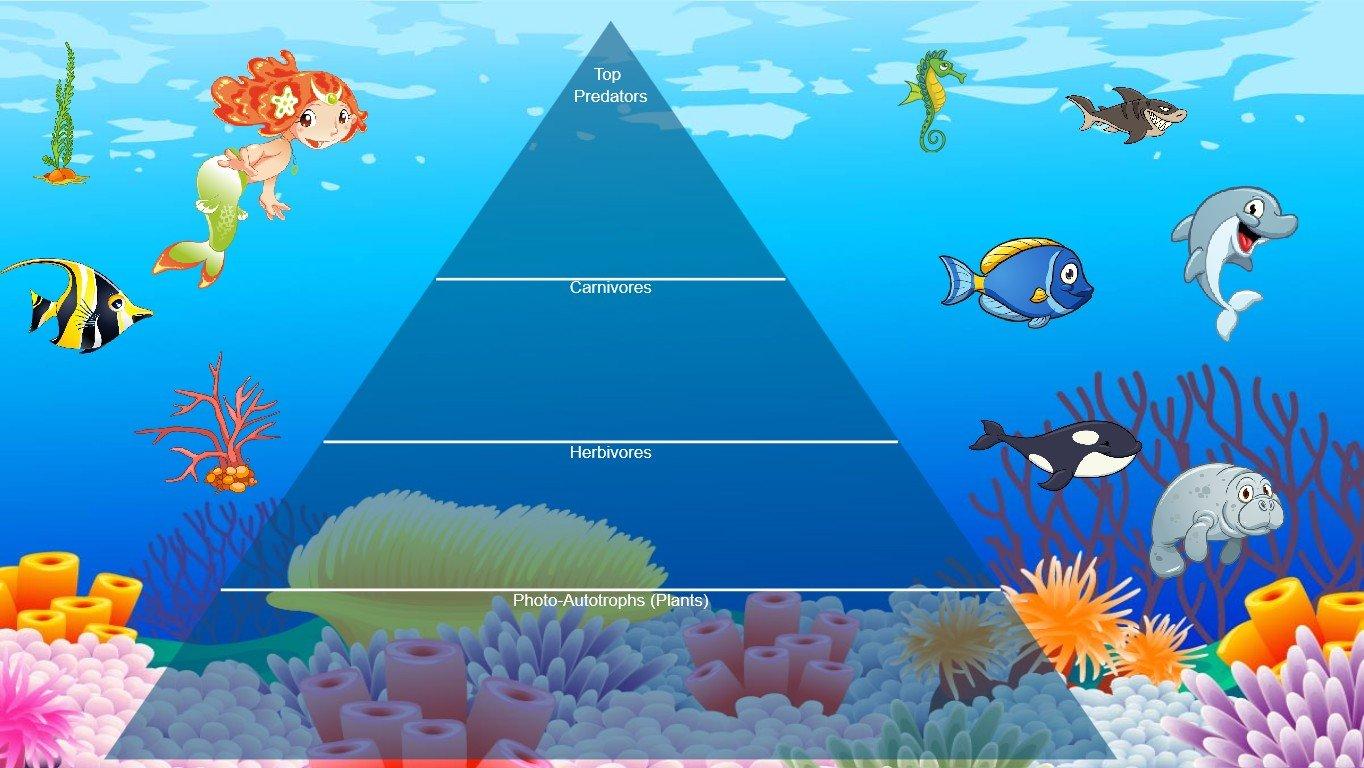 Ocean Ecological Pyramid - TEMPLATE