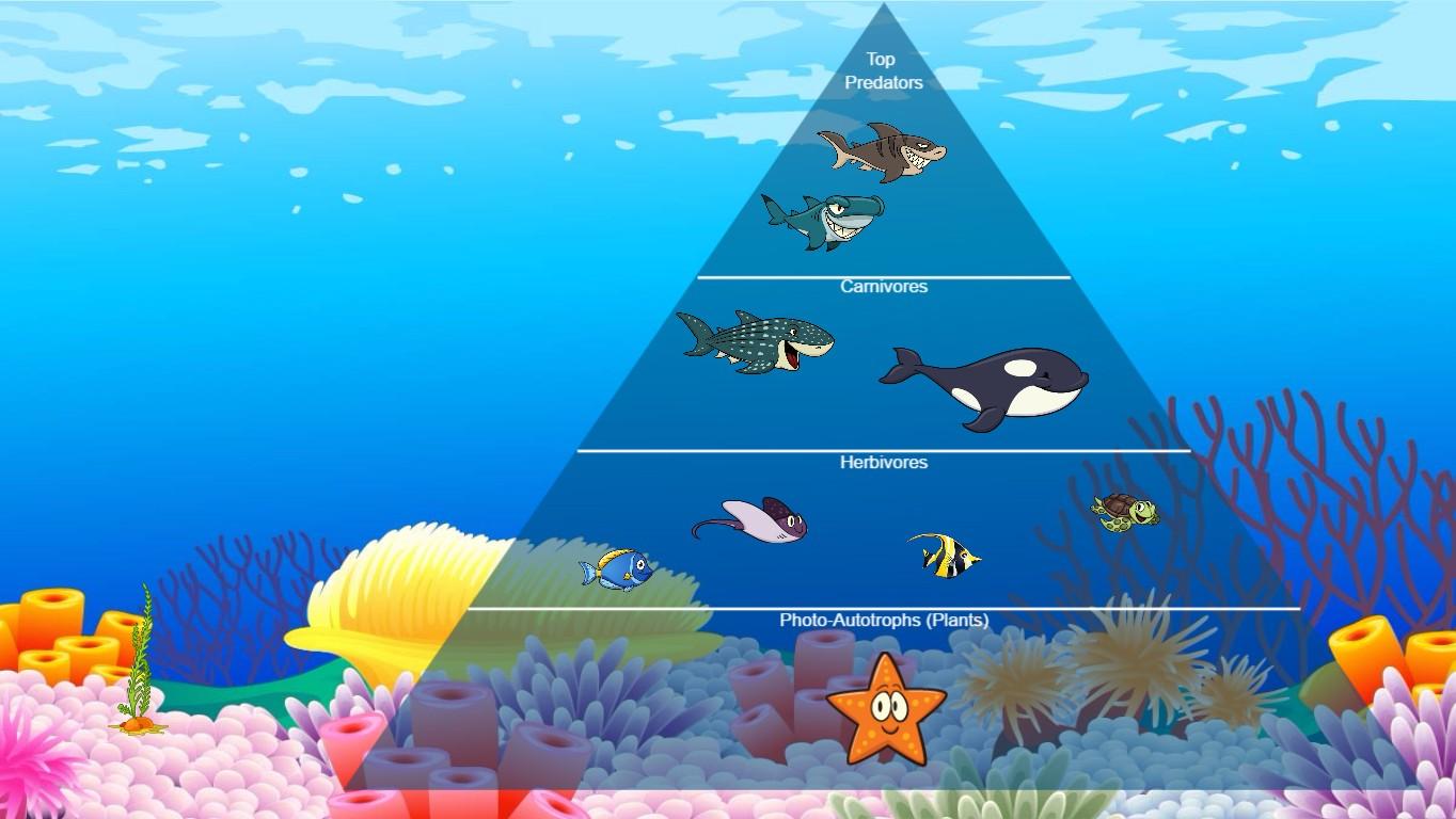 Ocean Ecological Pyramid - TEMPLATE