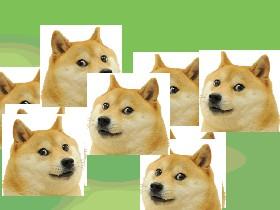 doge meme lol