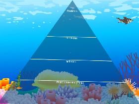 Ecological Pyramid 1