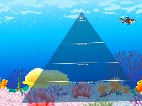 Ecological Pyramid 1