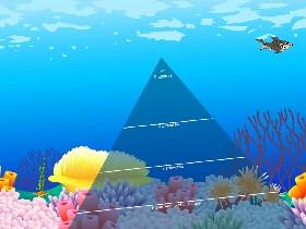 Ecological Pyramid 2