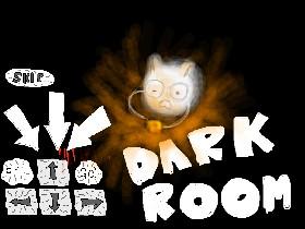 Dark Room! 1