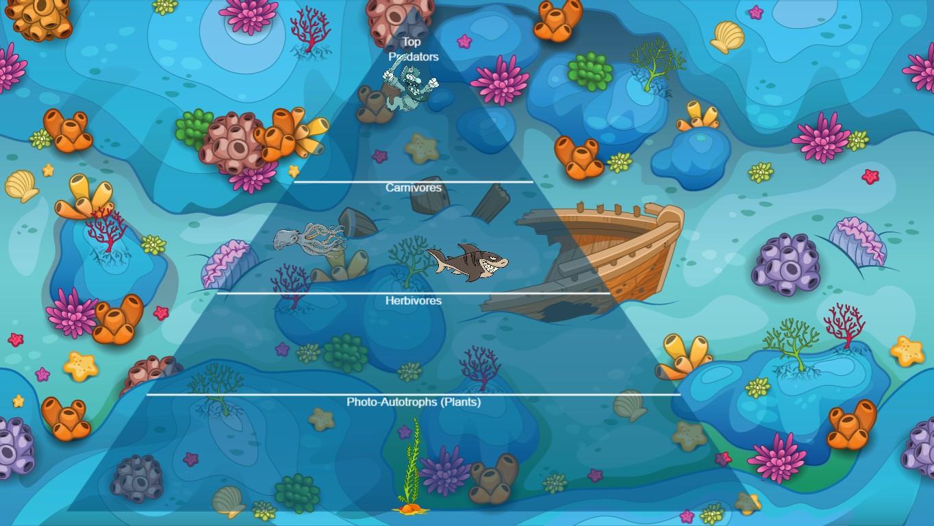 Ocean Ecological Pyramid - TEMPLATE