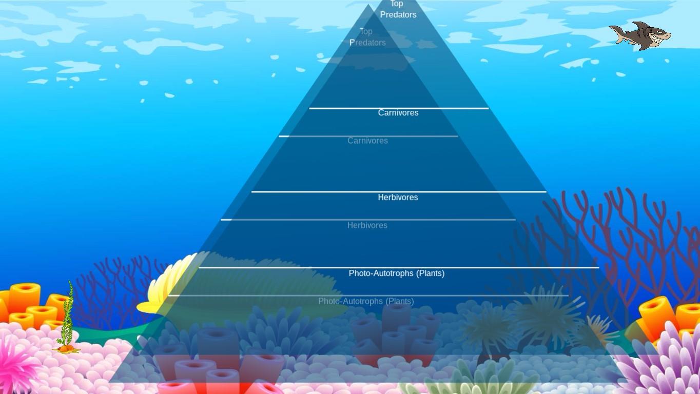 Ocean Ecological Pyramid - TEMPLATE