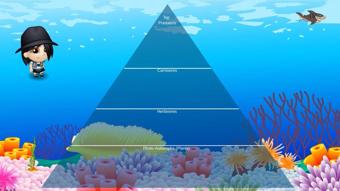 Ocean Ecological Pyramid - TEMPLATE