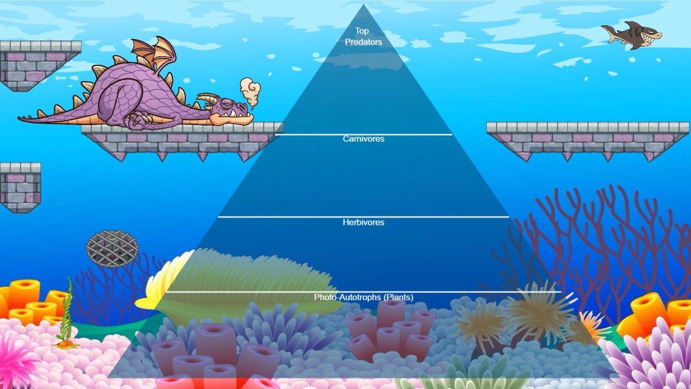 Ocean Ecological Pyramid - TEMPLATE