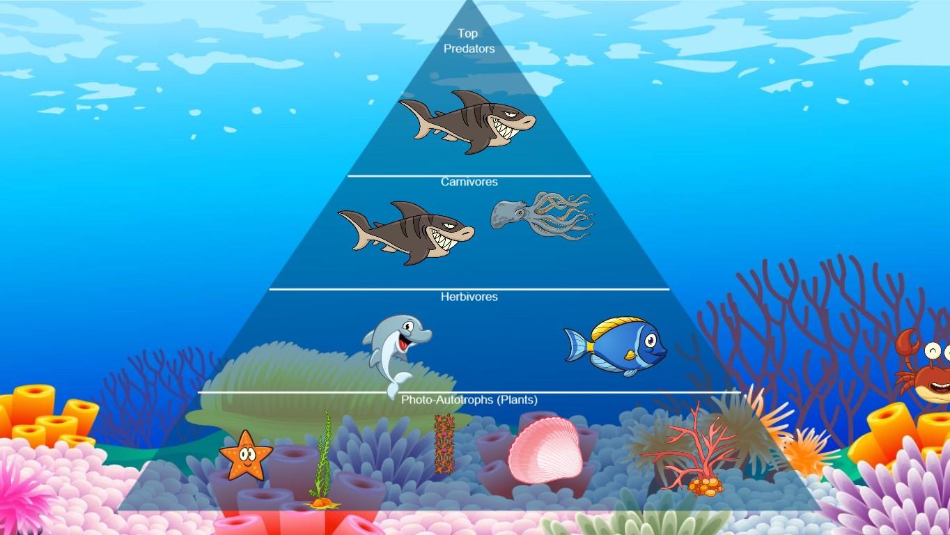 Ocean Ecological Pyramid - TEMPLATE