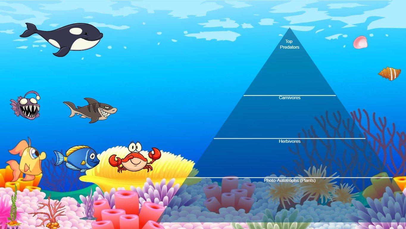 Ocean Ecological Pyramid - TEMPLATE