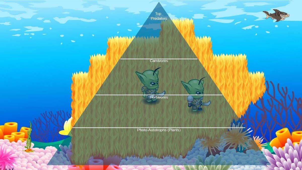 Ocean Ecological Pyramid - TEMPLATE