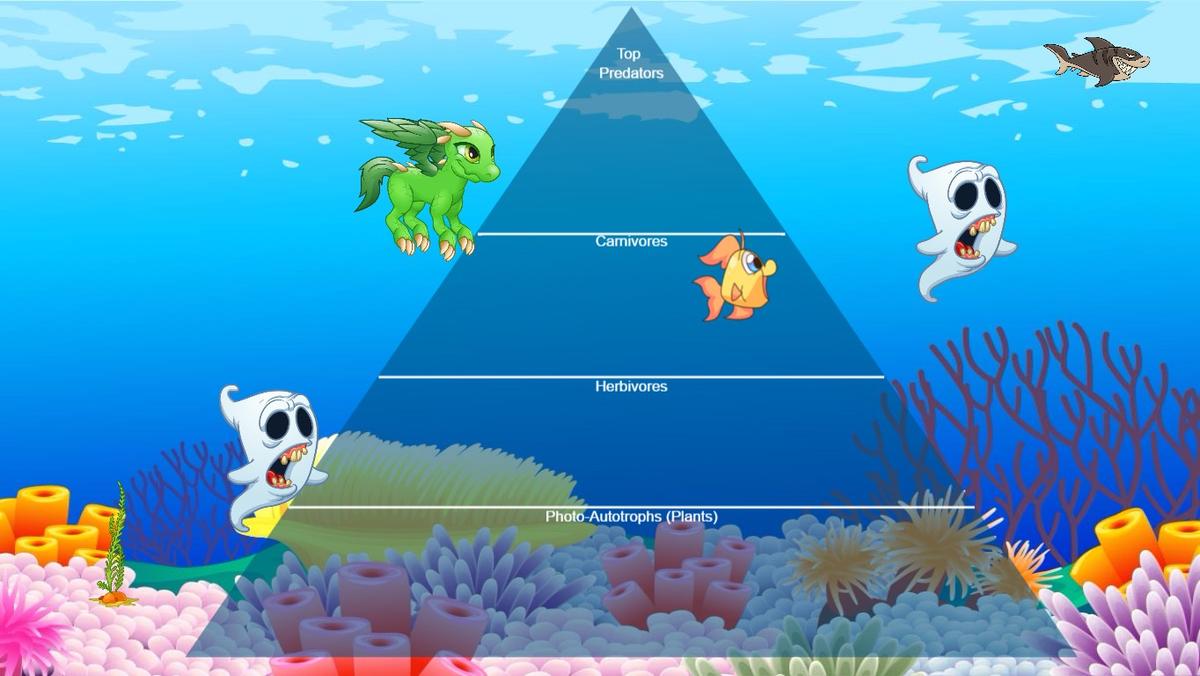 Ocean Ecological Pyramid - TEMPLATE