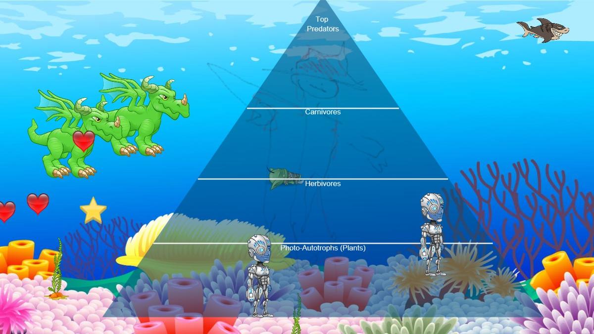 Ocean Ecological Pyramid - TEMPLATE