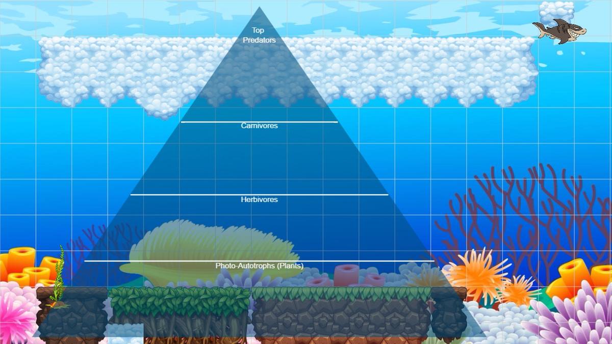 Ocean Ecological Pyramid - TEMPLATE